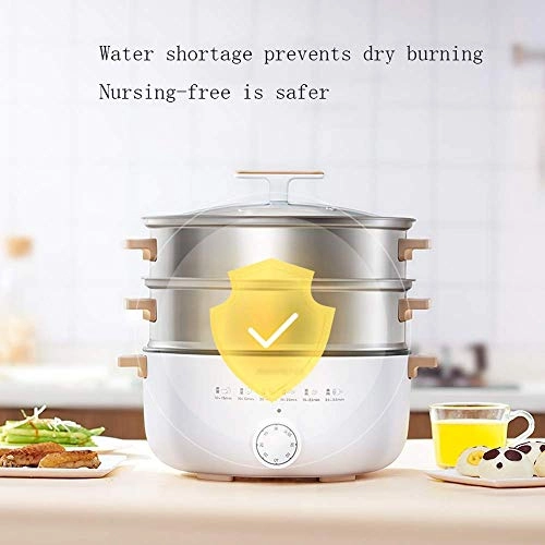 Electric Steamer - 12L Home Use
