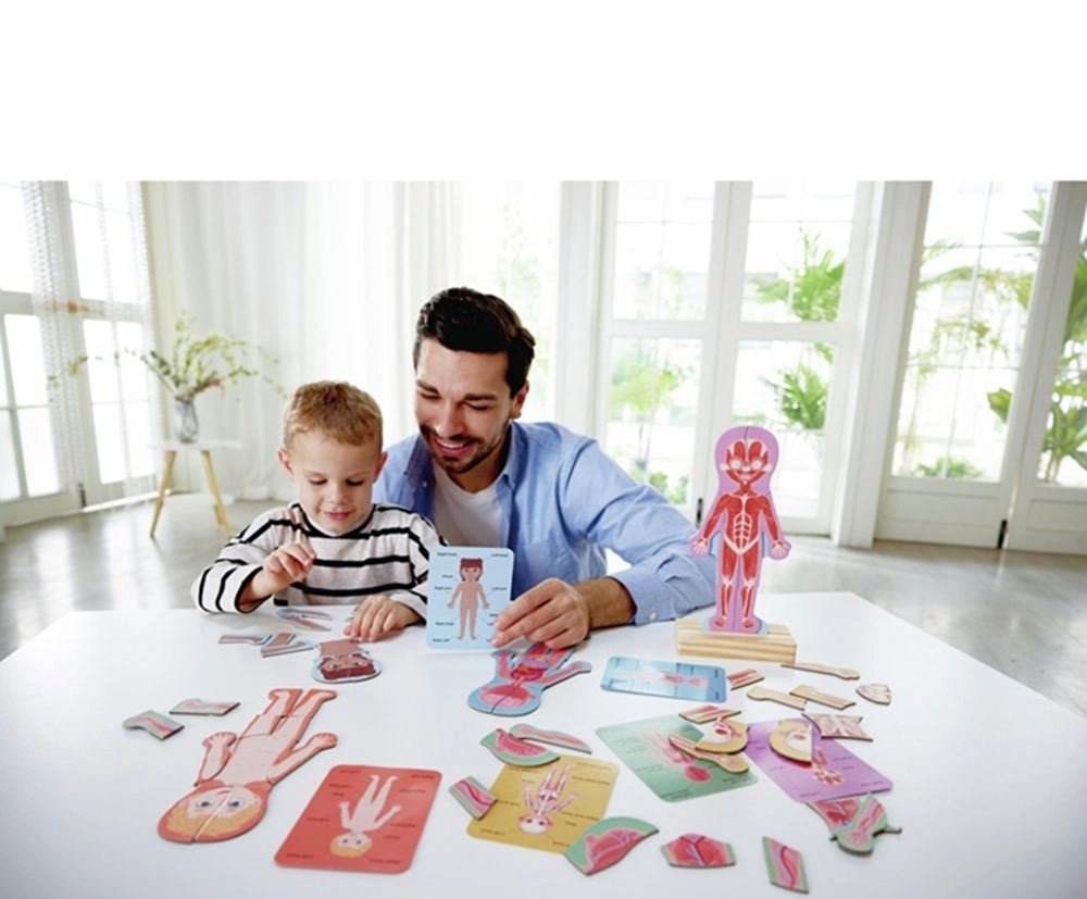 Human Body Magnetic Puzzle - 3 + 63 pieces