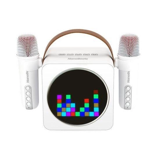 BB220 NanoBeatz - Dual Microphones