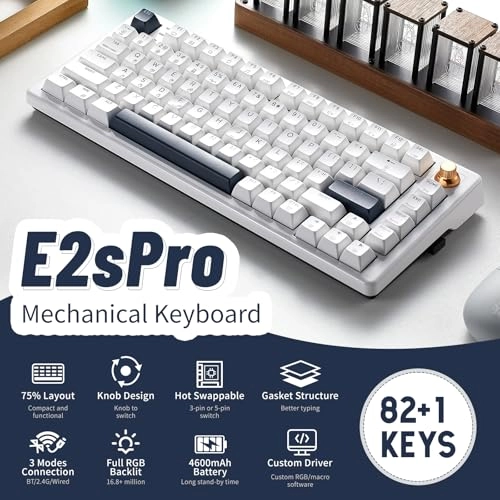 E2s Pro - Wired/Wireless