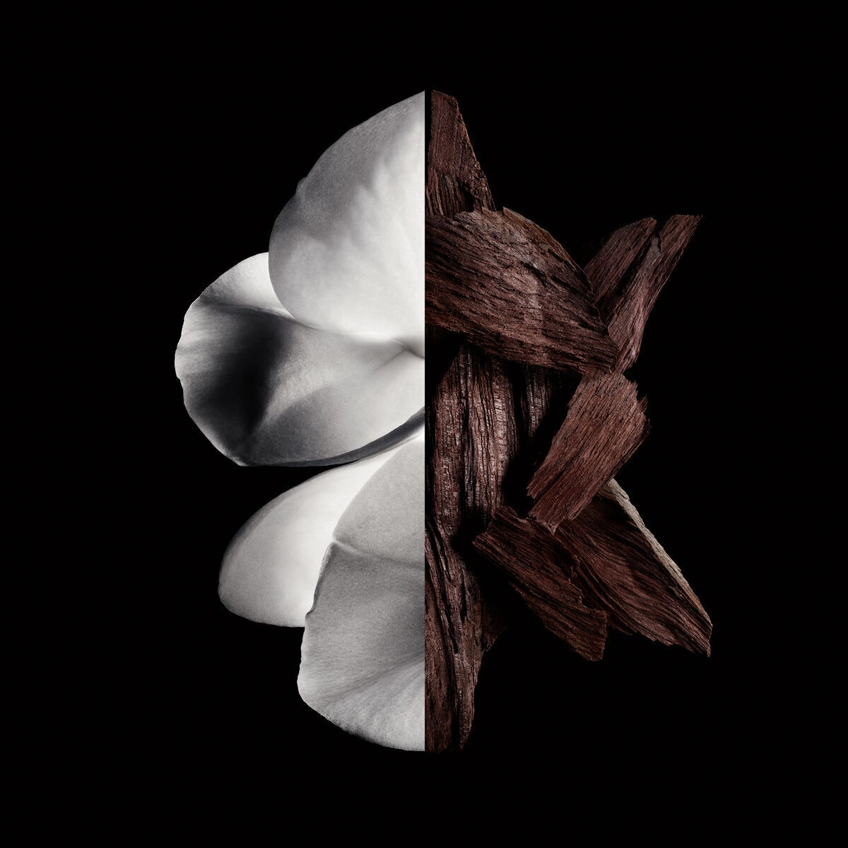 Gentleman Boisee Eau de Parfum 200ml