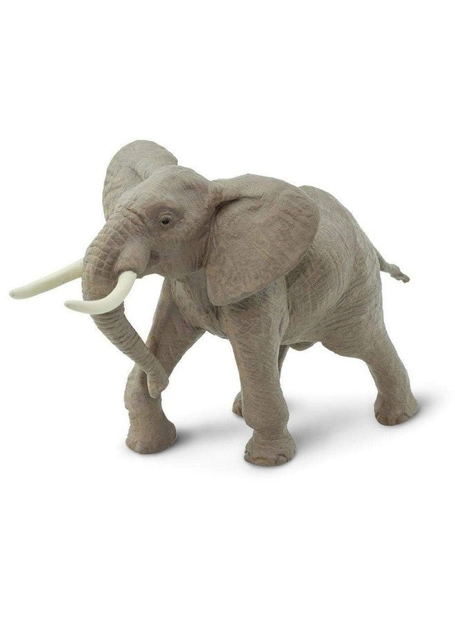 Wildlife - African Elephant