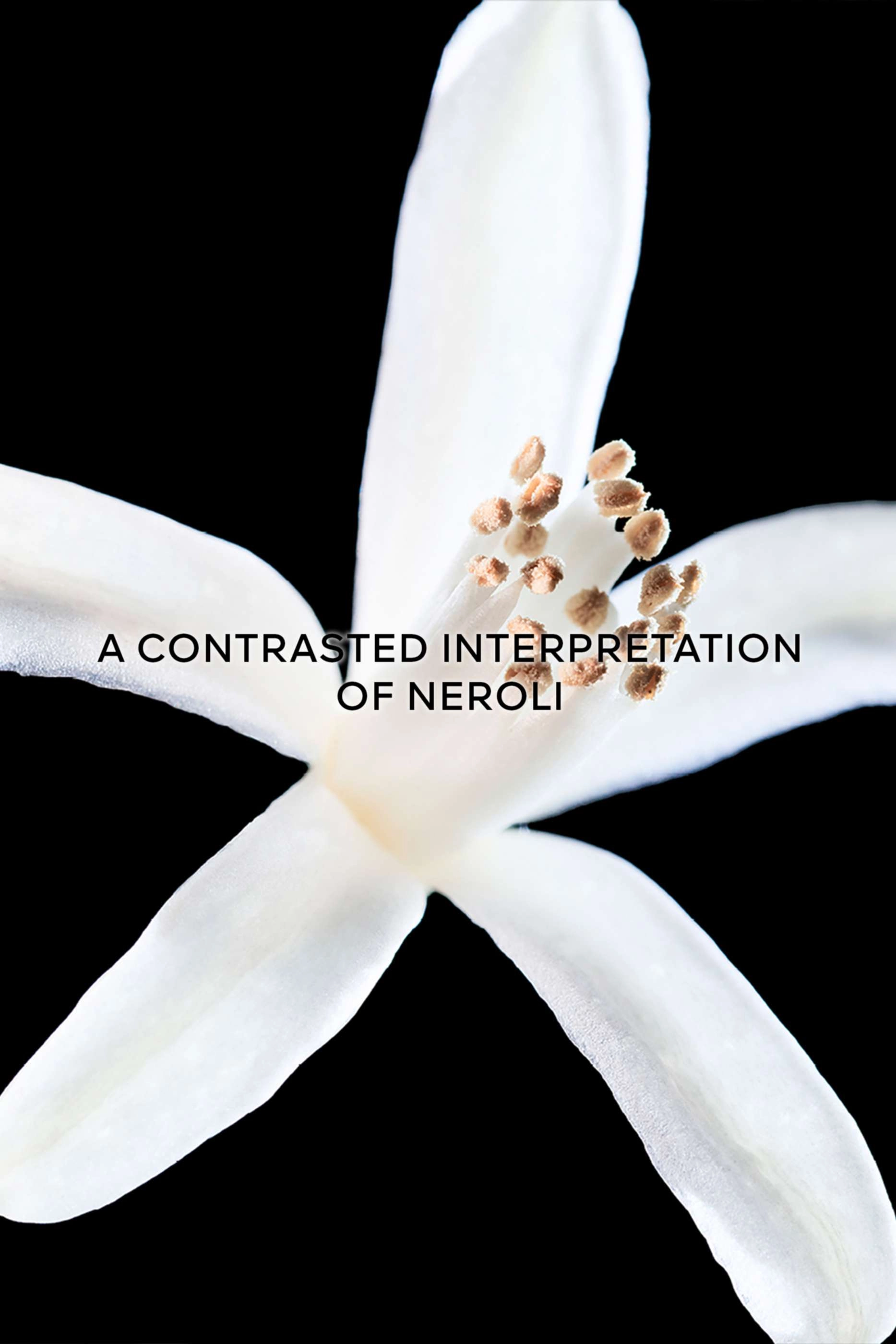 Néroli Outreblanc - 50ml Neroli