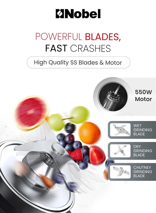 NB301SS - 1300 Milliliters 550 watts