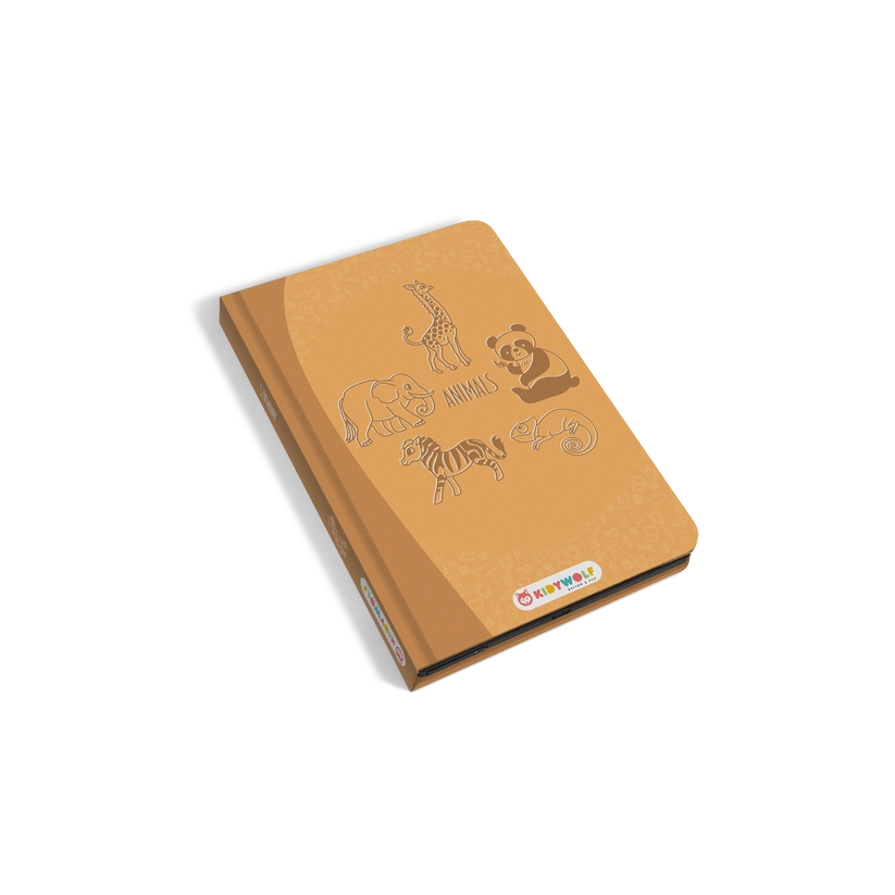 Mini LCD Tracing Book