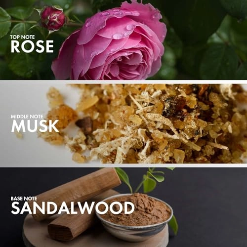 AMBERY SANDALWOOD Eau de Parfum 50ml