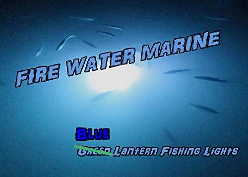 Maxx Fishing Light - 15 foot