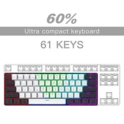 RK-X44 - QWERTY Wired
