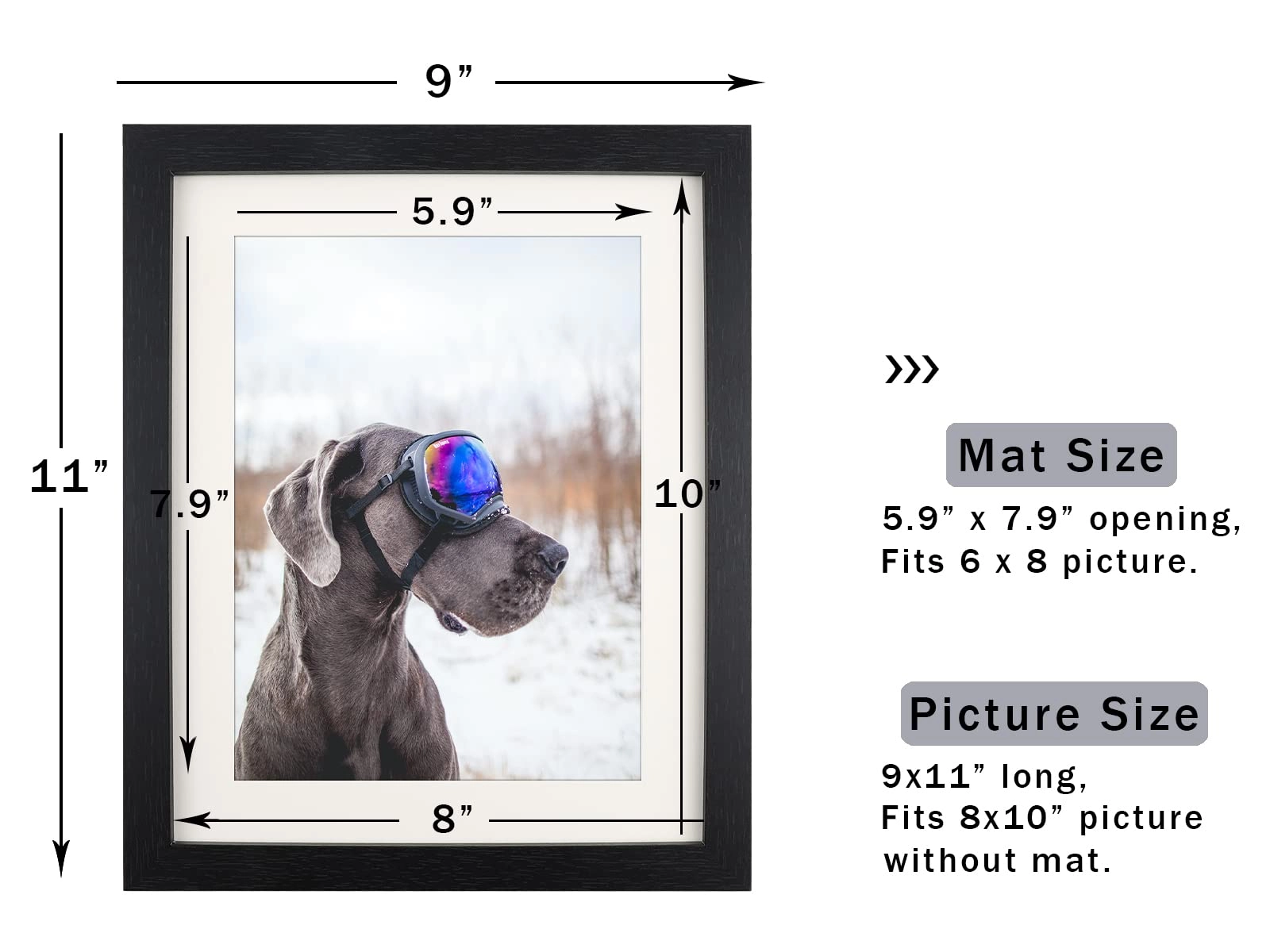 Single Picture Frame - 8x10 1
