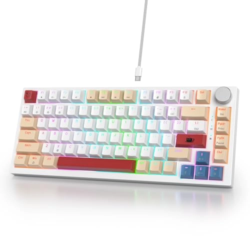 75% Mechanical Keyboard - EN Wired/Wireless