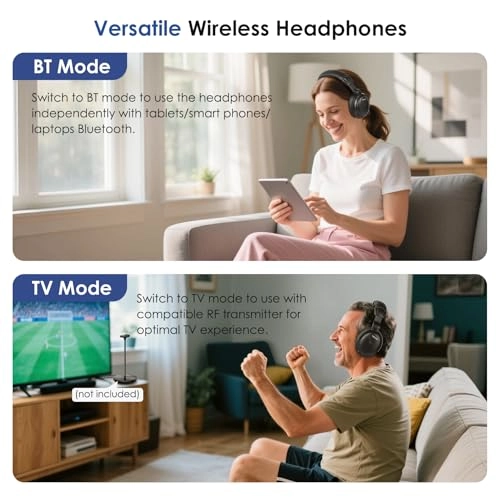 SM-829D1 Wireless Headphone