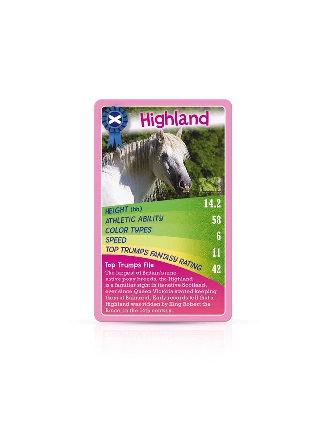 Horses, Ponies, and Unicorns