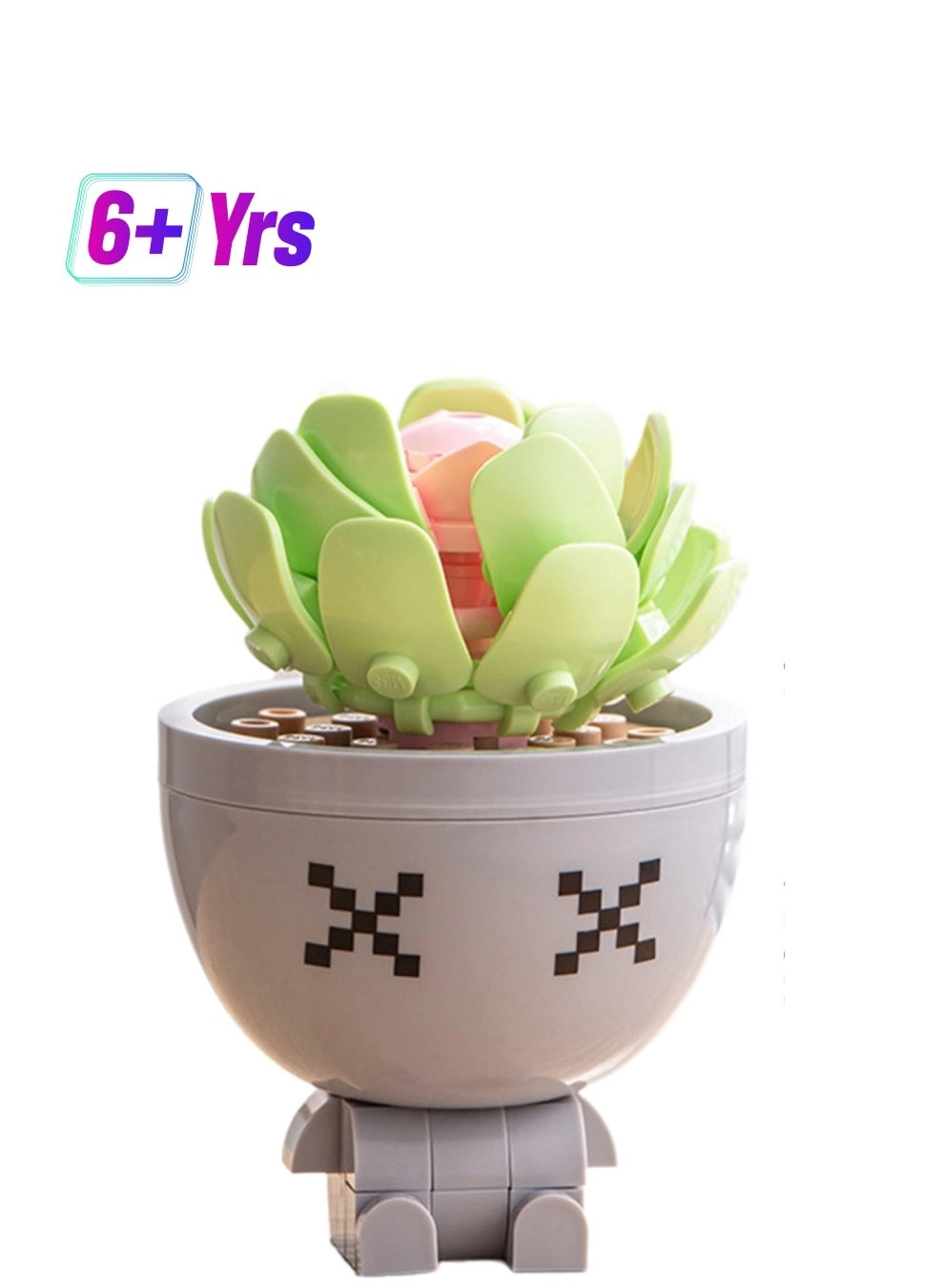 Succulent Purple Mist