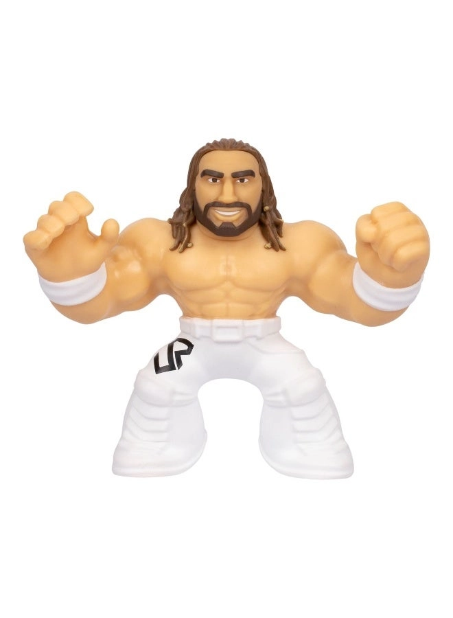 Seth Freakin Rollins - WWE Series 2 - 4 yr(s) (11.4 cm) (630996430101)