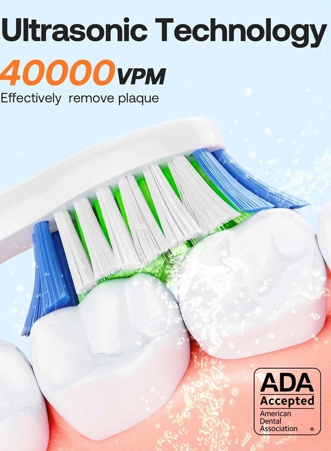 D2 - 40000 movements per minute 8 Replacement Heads 5 Modes