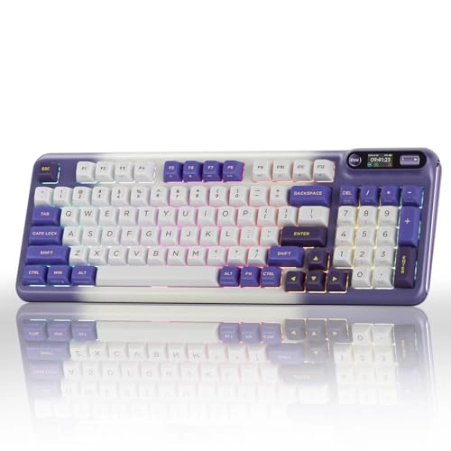 Z98 - Wired/Wireless