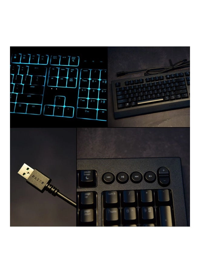 Cynosa V2 - 110 keys + 6 multimedia keys Wired