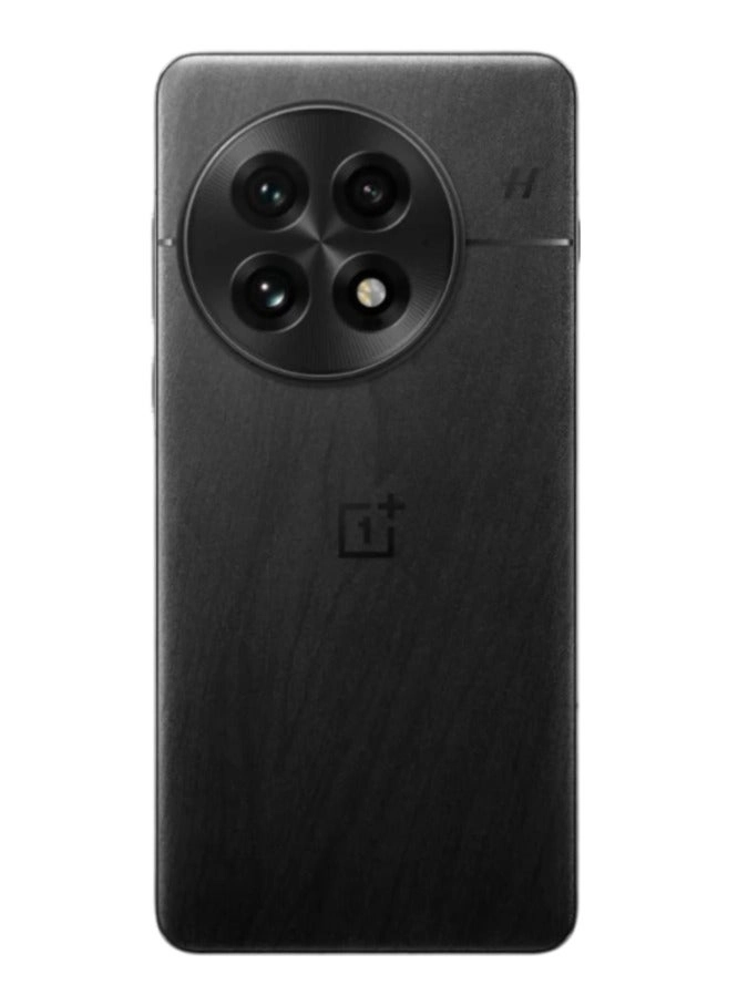 13 - 12GB 256GB