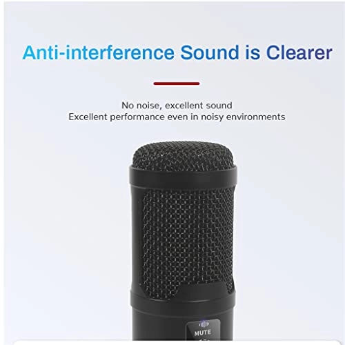 ss1/i47654 USB Microphone