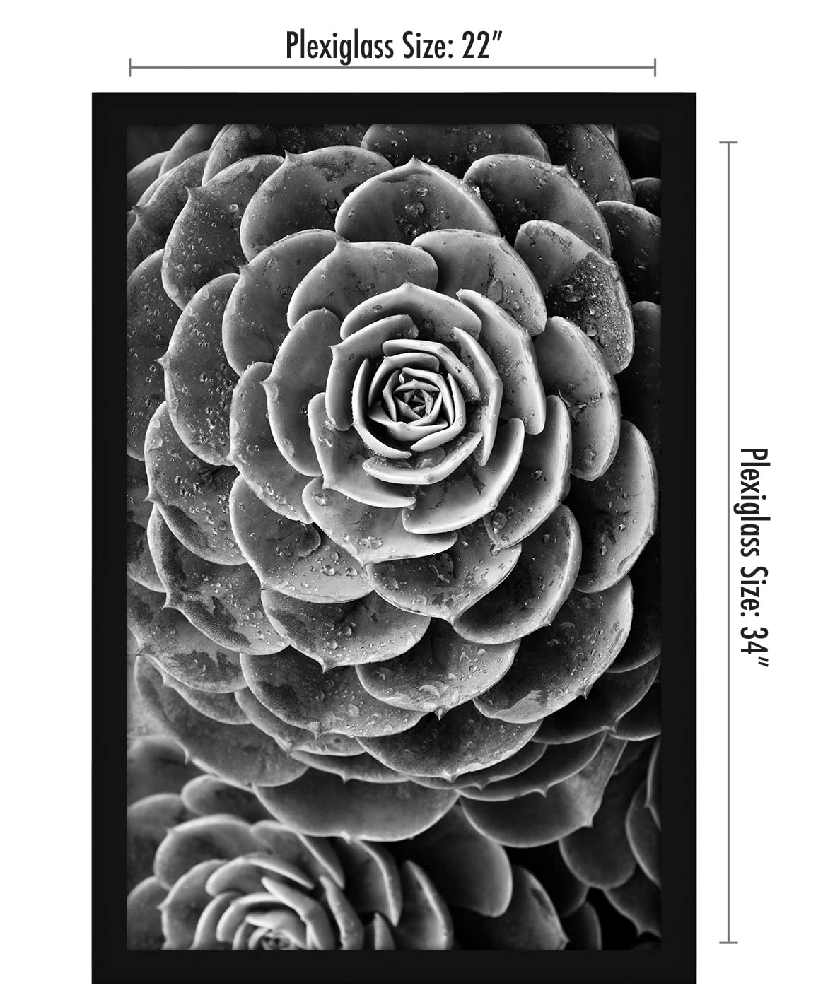 Poster Frame - 22X34