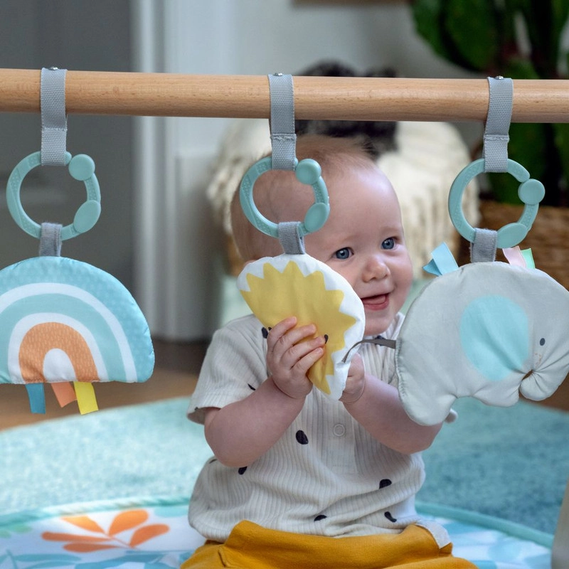Sun Valley Wooden Toy Arch & Play Mat & Gym - 0 months