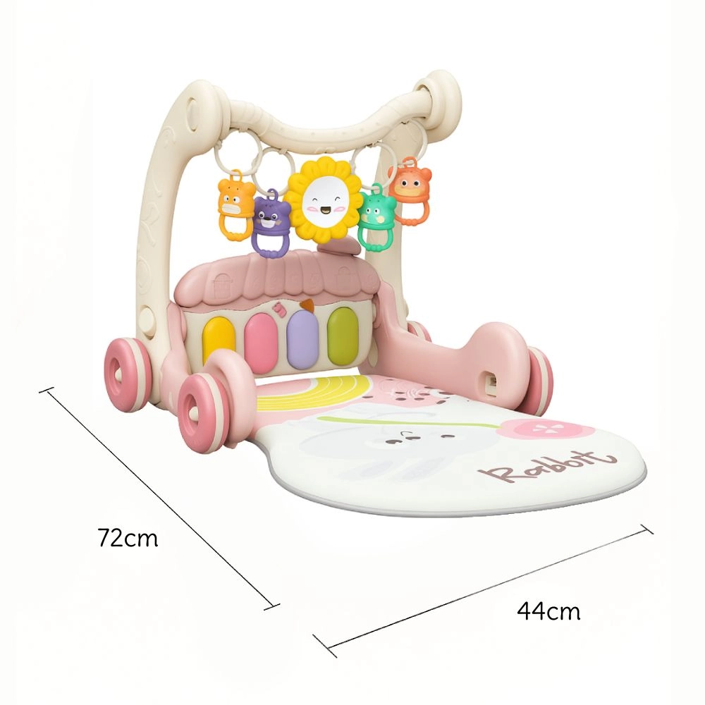 Daisy - 3-In-1 Baby Walker