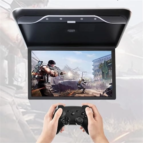 Roofmount LCD Monitor - 19in