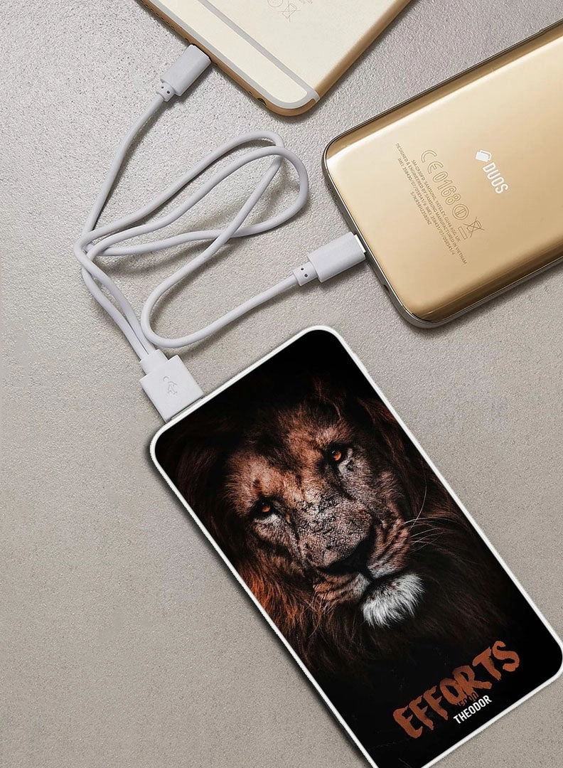 EX_PPBA145 - 10000 mAh