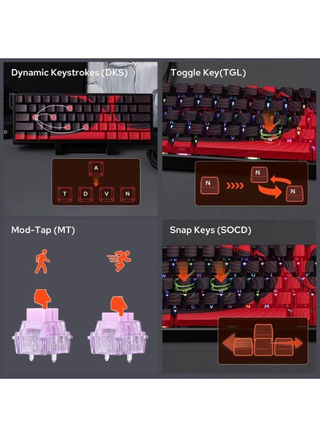 WIN60 HE - 60% Wired