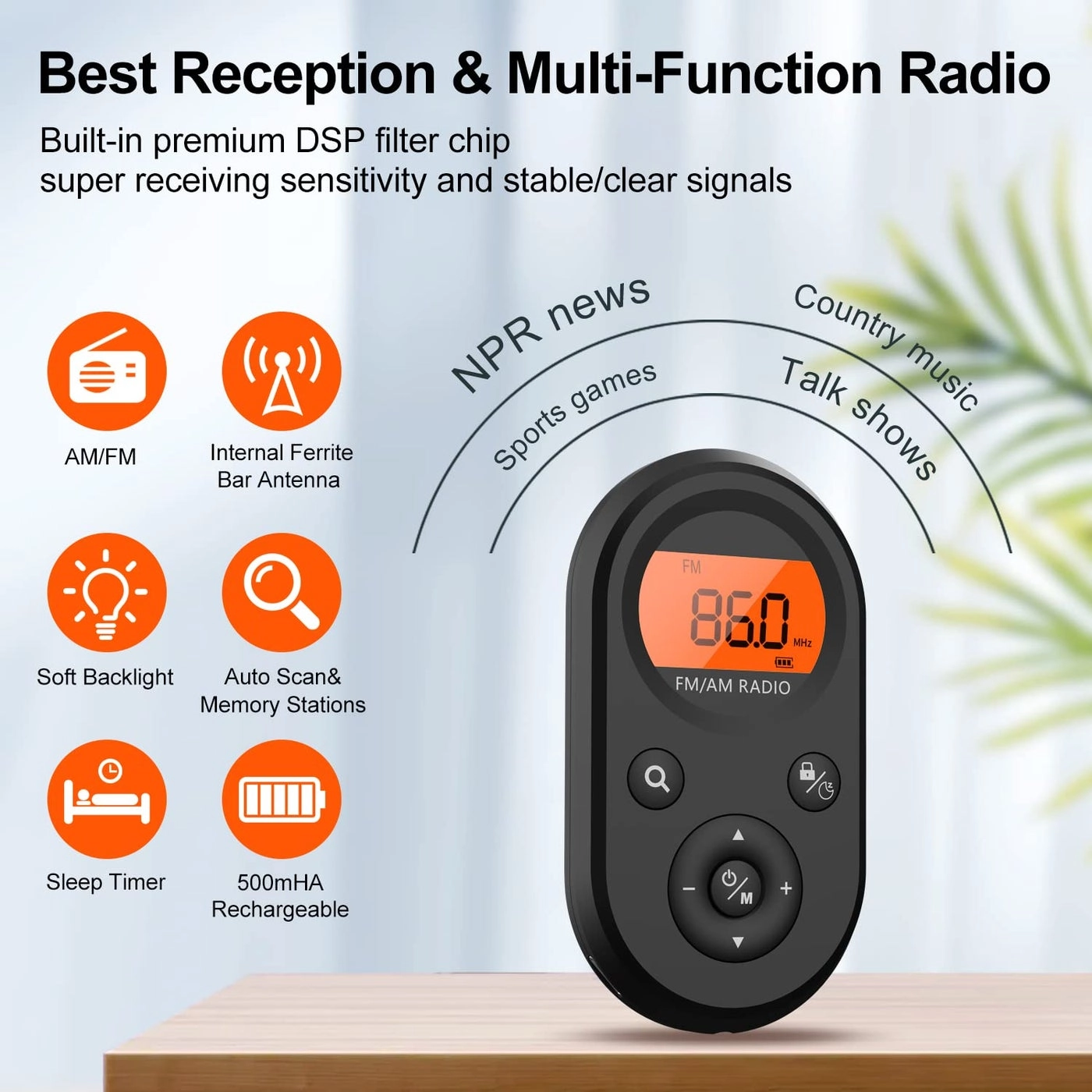 Bluetooth Radio Speaker - FM