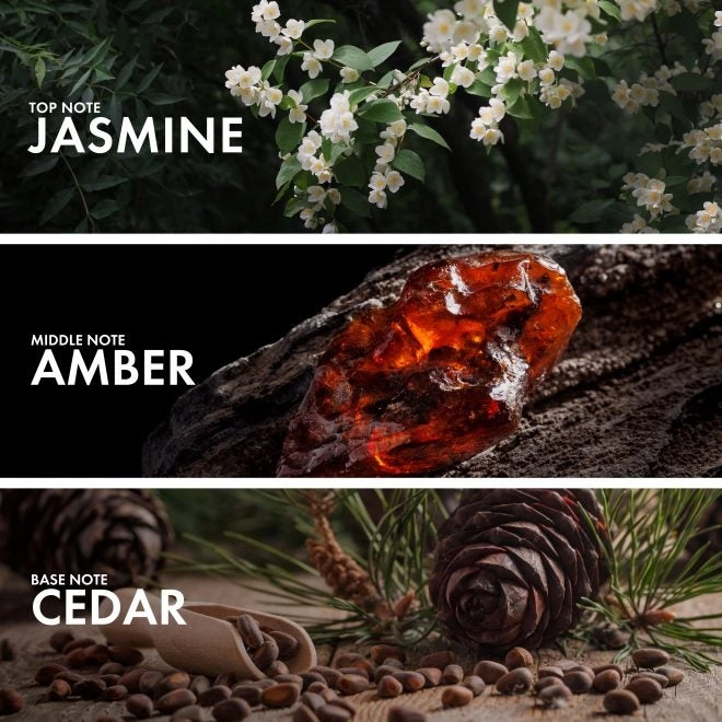 Ambery Cedar - Eau de Parfum 50ml