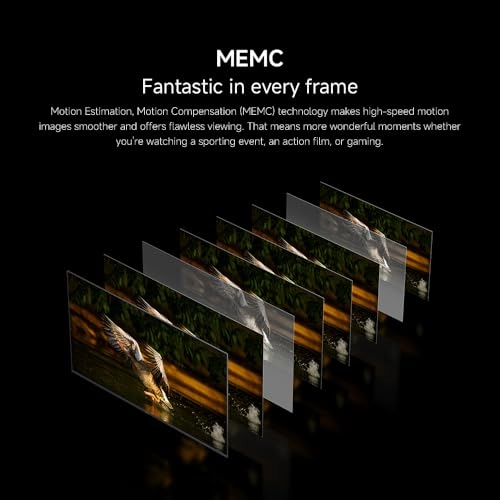 A 55 2026 - 55 Inches