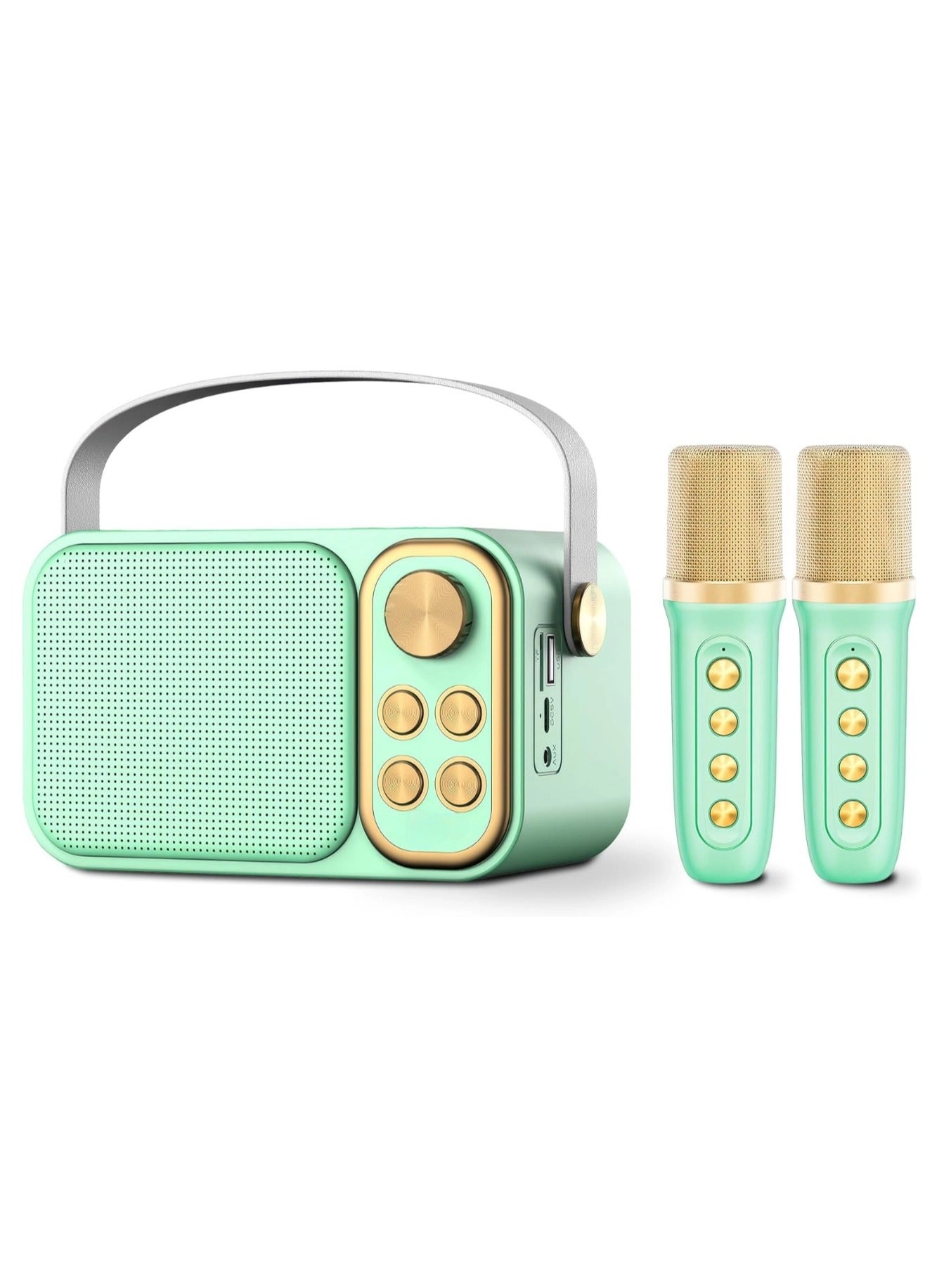 Outdoor Party Vocal Machine - 2 microphones