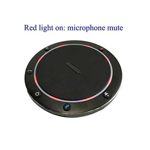 UBIAIEPDW USB+Wireless Microphone