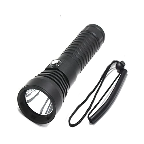 Professional Submersible Light