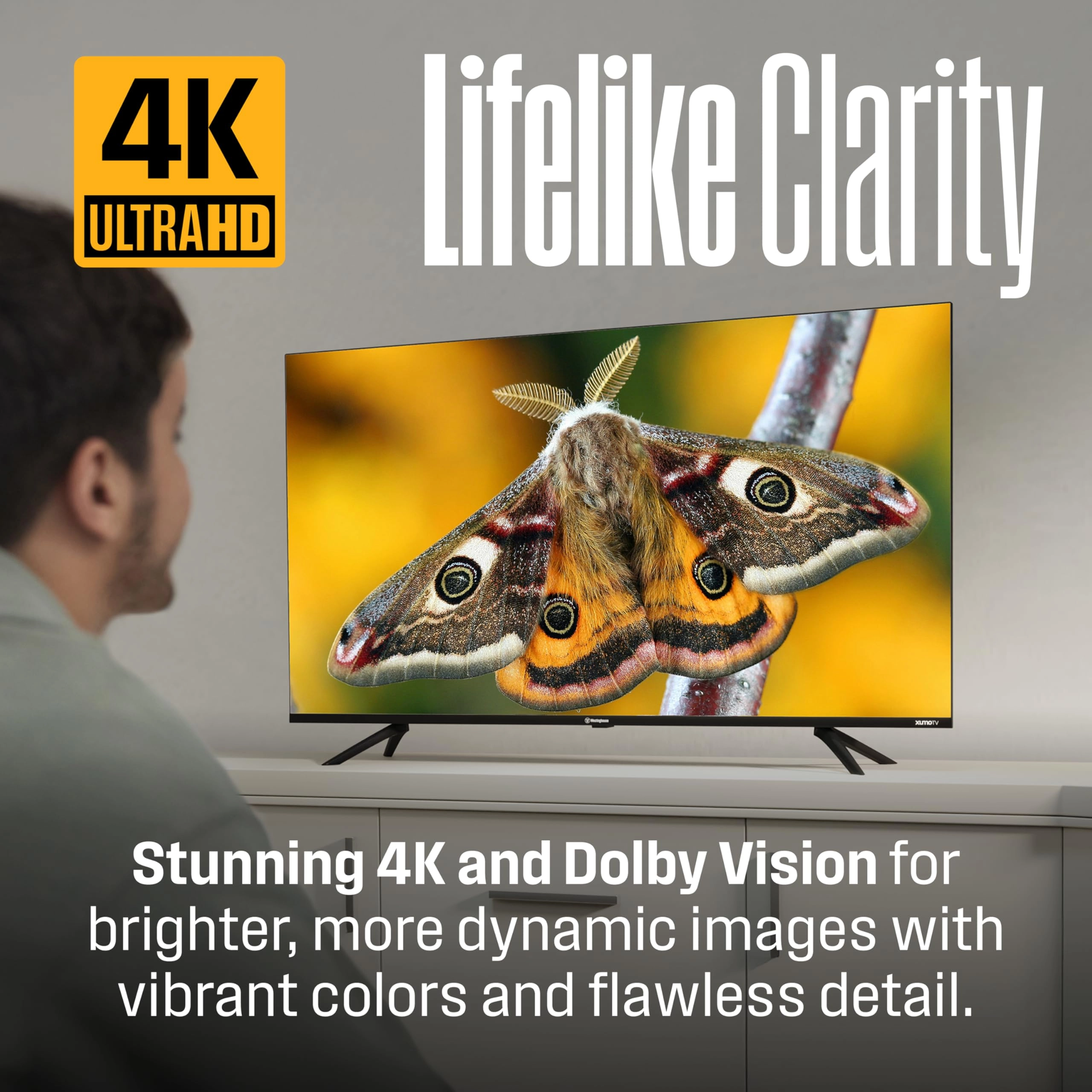 WX50UA4800 - 50 Inch