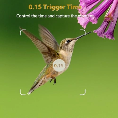 Trail Camera - 24 megapixel