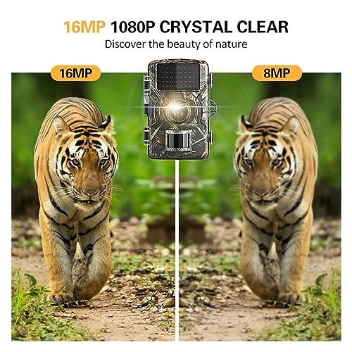 Wildlife Hunting Camera 1080p