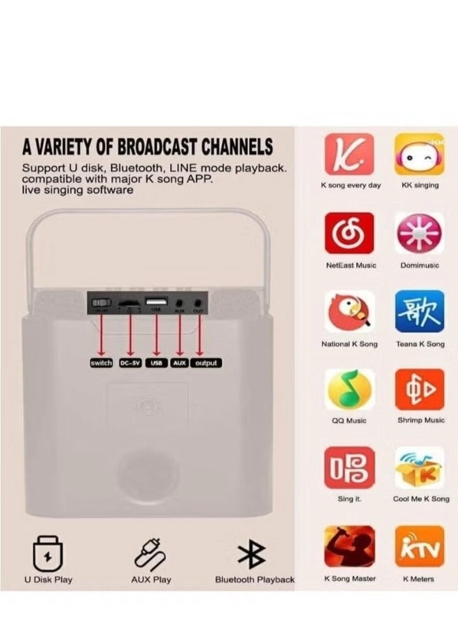 SD-508 - Mini Karaoke Bluetooth Speaker LED Lights Built-In Microphone