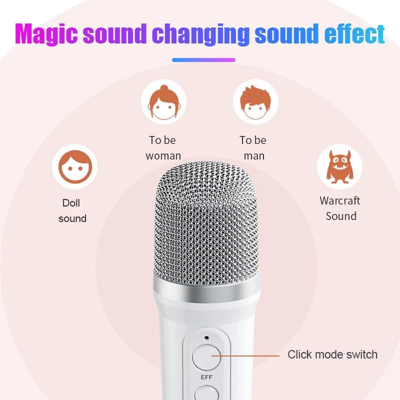 Portable Karaoke Machine - 2 Wireless Microphones