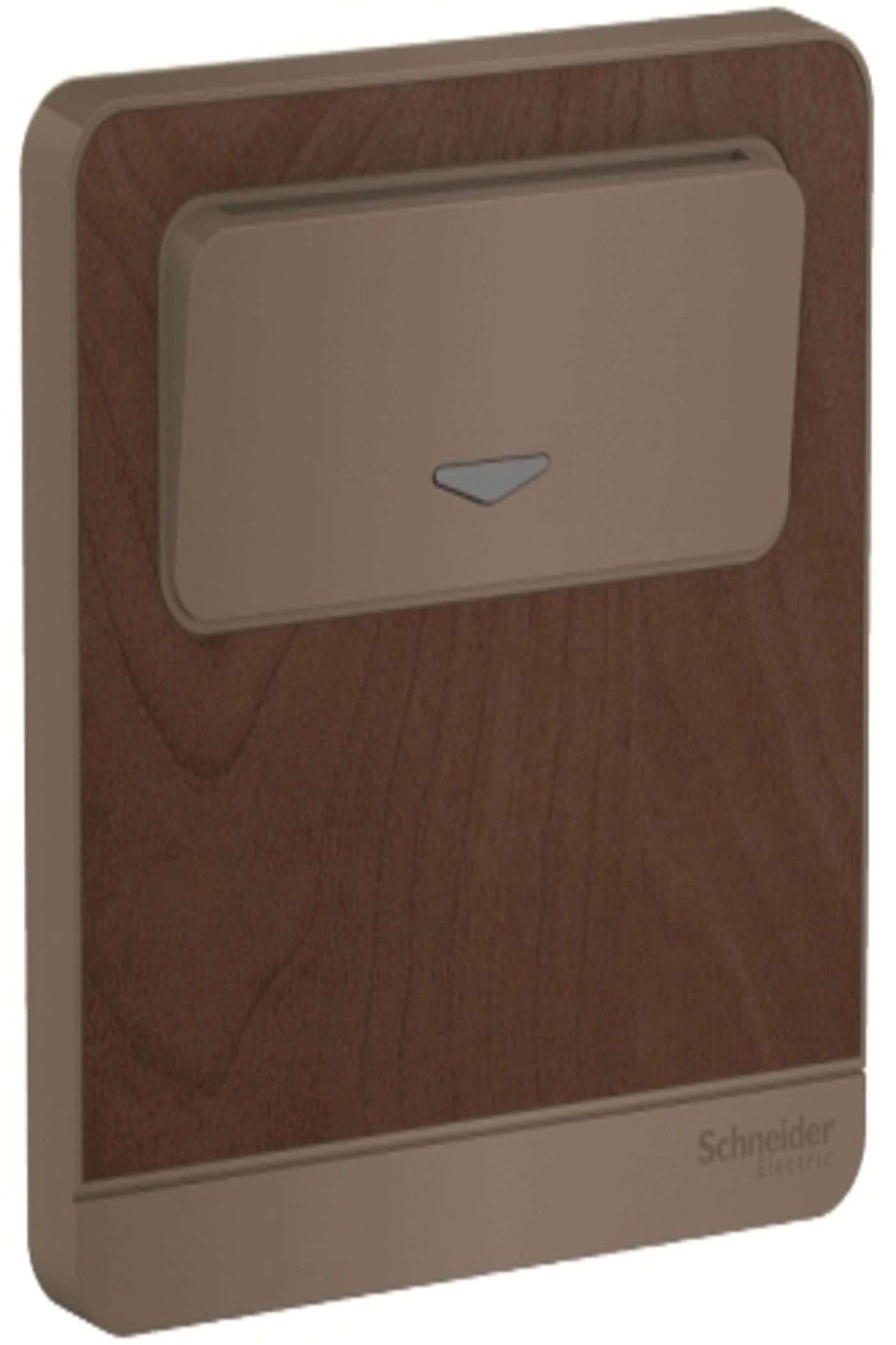 AvatarOn 16A Card Switch