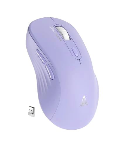 SM66 Silent Dual-Mode Mouse - Wireless