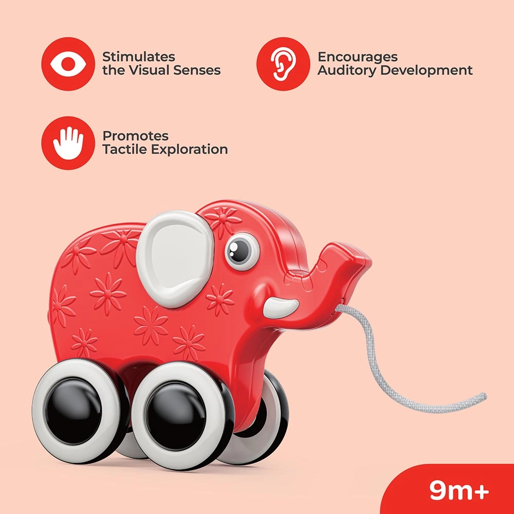 Rolling Buddy - Elephant