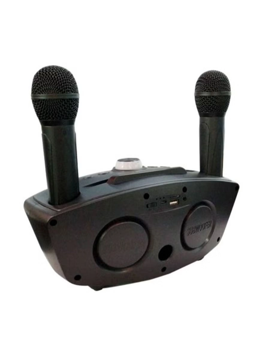 SD-306 - two wireless microphones