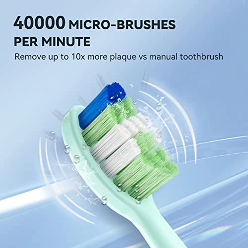 P200 - 6 Brush Heads Travel Case 60 Days