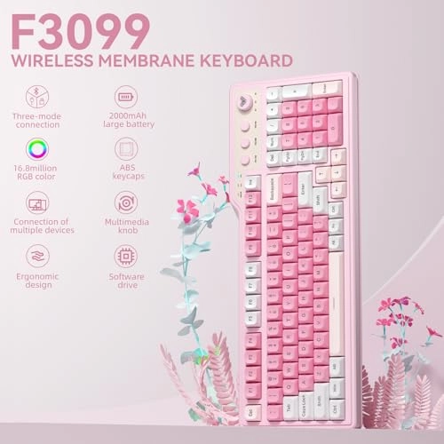F3099 - Wired/Wireless