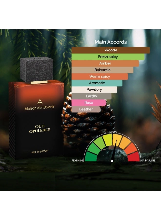 Oud Opulence Eau de Parfum - 100ml