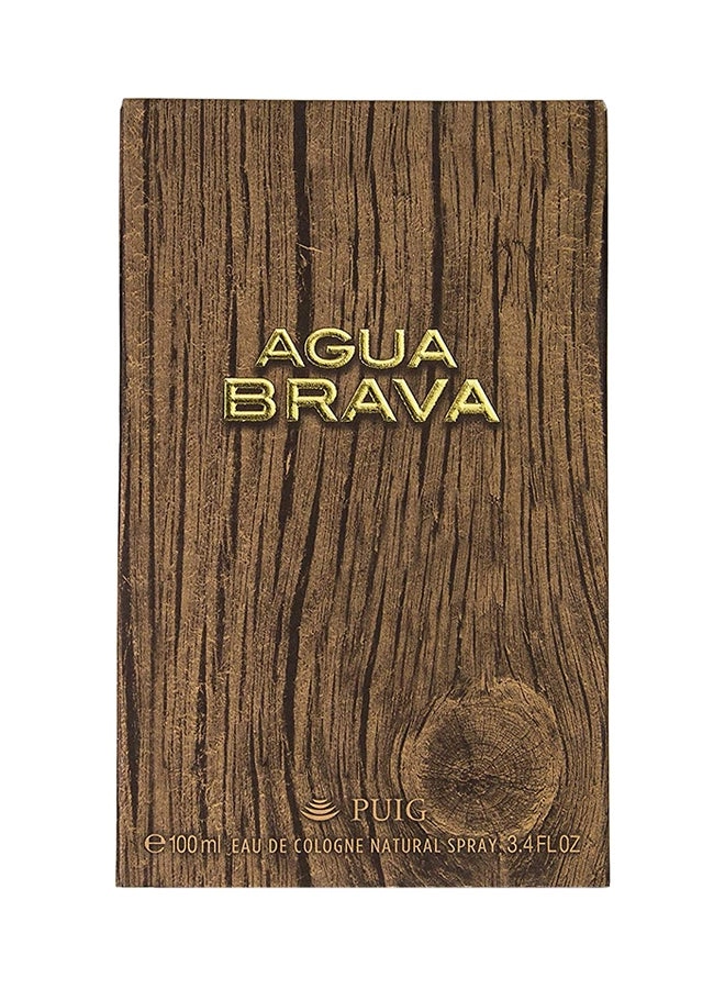 Agua Brava Brave - 100ml