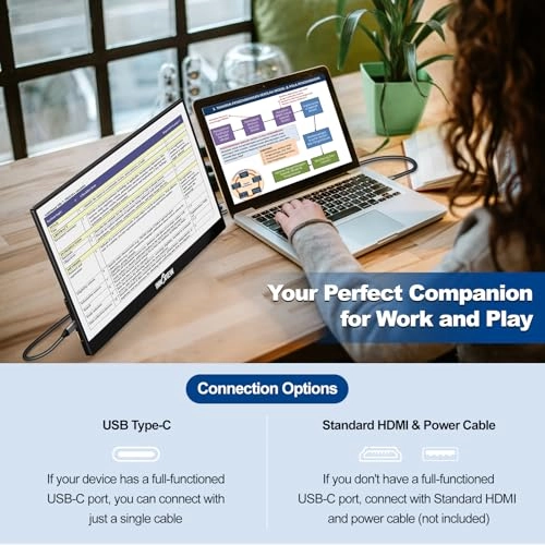 Portable Monitor - 1080P 15.6"