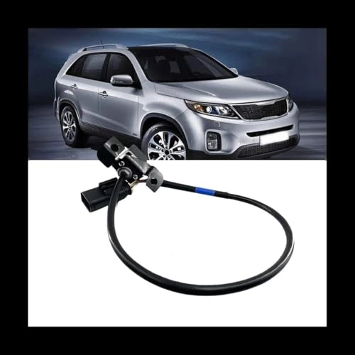 Rear View Backup Camera